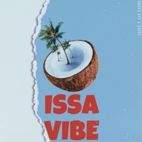 Issa Vibe (feat. Jay Sanon) - Single - Agius