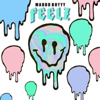 Feelz - Single - Maddd Boyyy