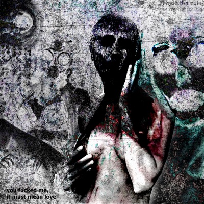 You Fucked Me, It Must Mean Love - Single