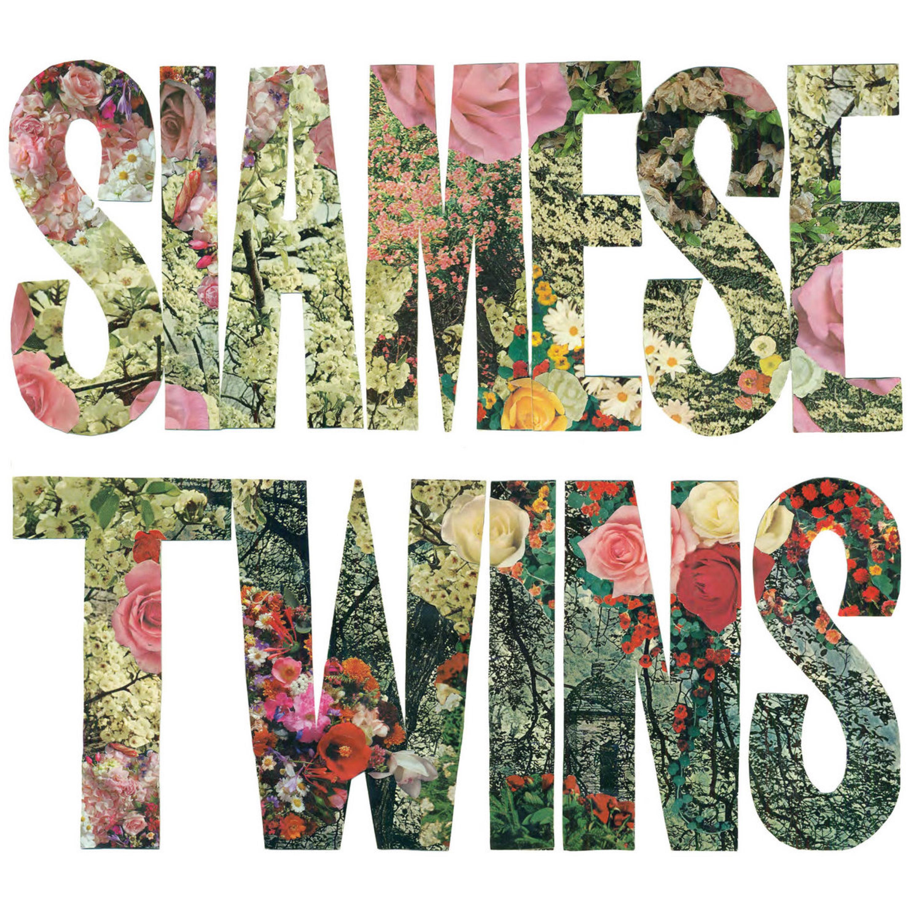 Siamese Twins - Astray