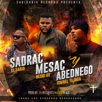 Sadrac Mesac y Abednego (feat. Ismael Tejada) - Single - El Sabio y Neshi AV