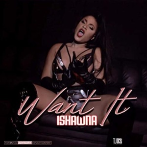 Want It - Single
