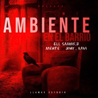 Mi Ambiente en el Barrio (feat. Xavi) - Single - EllSaam5'3