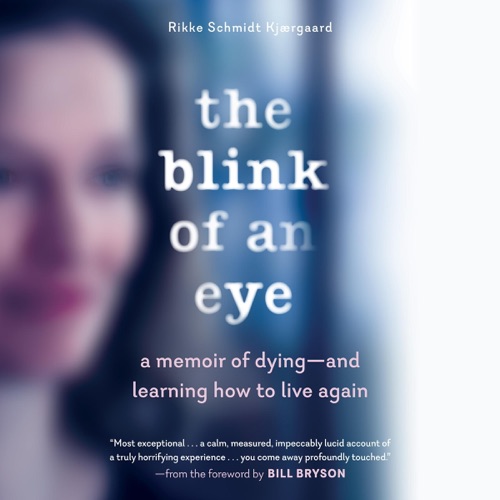 The Blink of an Eye: A Memoir of Dying - and Learning How to Live Again (Unabridged) cover