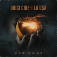 Ghici Cine-I La Usa - Single - JerryCo & George Hora