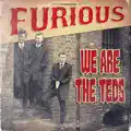 we are the teds