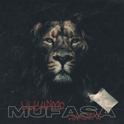 Mufasa (feat. Lilpolotae) - Single