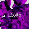 Lloro - Single