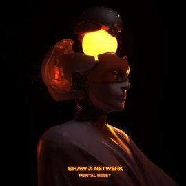 Mental Reset SHAW & NETWERK