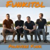 Paunvere Funk - Single