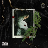 The Nuke Gave the Serpent Feathers - Bakelendt