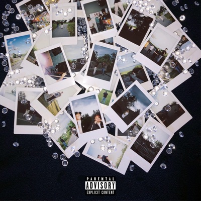 Wish Us Well - Single