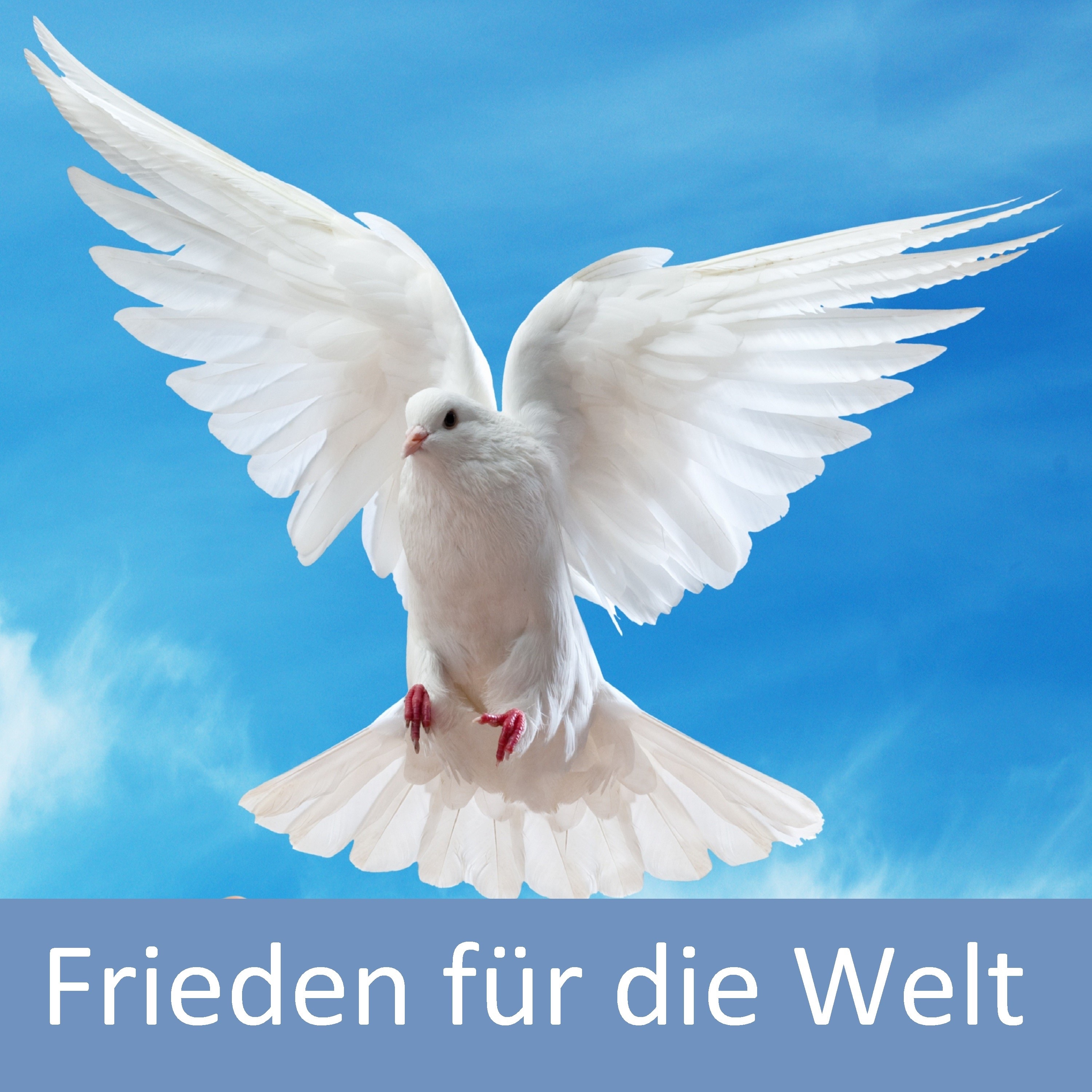 Frieden für die Welt