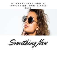 Something New (feat. Tone P, Novacaine, Ayee Ross & Domo) - Single - DJ Shane