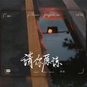 请你原谅 - Single