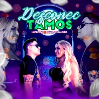 Desconectamos - Single - Lucecita & Malito Malozo
