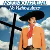 NO VUELVO A AMAR