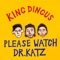 Plz Dnt Text Me - King Dingus lyrics