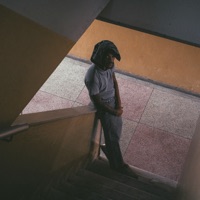 Beijo de Judas / Molotov - Single - Dragão Crioulo & pedrvso