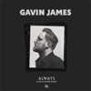 Gavin James & Alan Walker