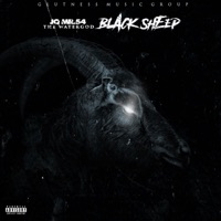Black Sheep - Single - JQ Mr.54