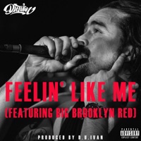 Feelin' Like Me (feat. Big Brooklyn Red) - Single - D.U.Ivan