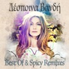 Icon Best of & Spicy Remixes