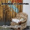 Softdrinks - Betrunken im Klappstuhl lyrics