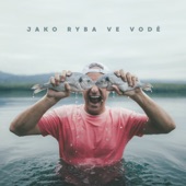 YAK RYBA (feat. Čis T) artwork