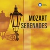 Serenade No. 10 in B-Flat Major, K. 361/370a "Gran Partita": III. Adagio