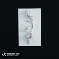 When We Were Young (Acoustic) - Single - Swell Scenic, L.O.S.T. & Pop Mage