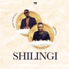 Shilingi (feat. Reekado Banks) - Single