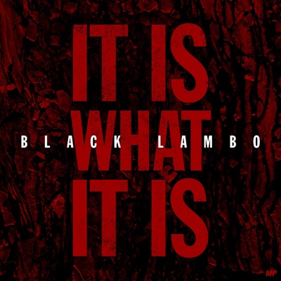 It Is What It Is (feat. Wil Black & Lambo Brickz) - Single