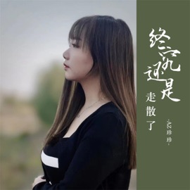 终究还是走散了 (DJ彭锐版伴奏) AZ珍珍