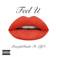Feel U (feat. LYT) - Single - PeacefulPinder