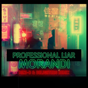 Professional Liar (Beni-B & Delighters Remix) - Single