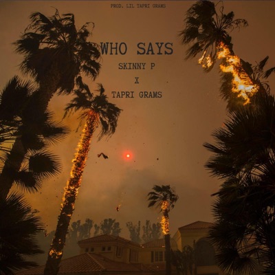 Who Says (feat. Tapri Grams) - Single