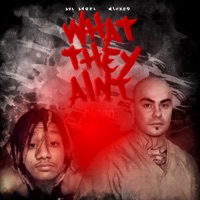 What They Ain't (Radio Edit) - Single - Wicked & AVL Angel