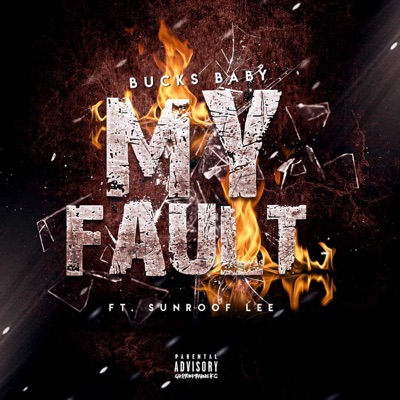 My Fault (feat. Sunroof Lee) - Single