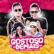 Gostoso de Mais feat Dodô MC Bruna Alves MC Teteu Single