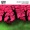 Bolier feat. Tiggi Hawke - White Rabbit