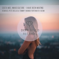 Nikko Culture & Costa Mee - I Have Been Waiting