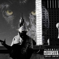 Lessons - Single - Saint Lamaar