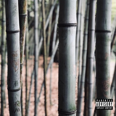 Bamboo - Single