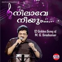 Nilave Neeyum - Viswanathan & Sindhu Premkumar