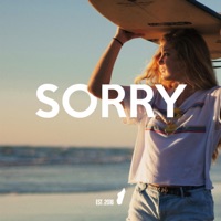 Sorry - Single - Alvin Brown Beats