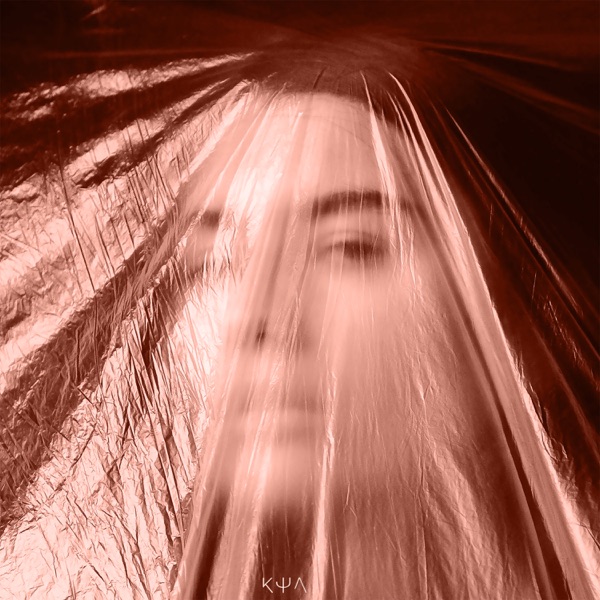 I Won't Cry - Single
