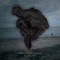 Stillstand (feat. Hadern Im Sternenhagel) - Kafkas Orient Bazaar lyrics