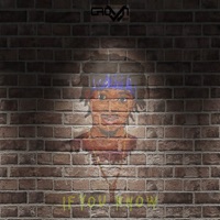 If You Know - Single - QM Steezy