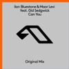 Can You (feat. Gid Sedgwick) - Ilan Bluestone & Maor Levi
